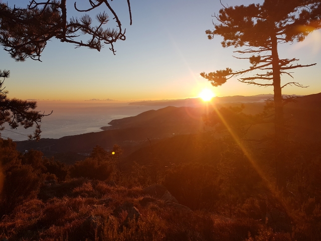 Percorsi-mtb-liguria-genova-beb-la-brigna_5