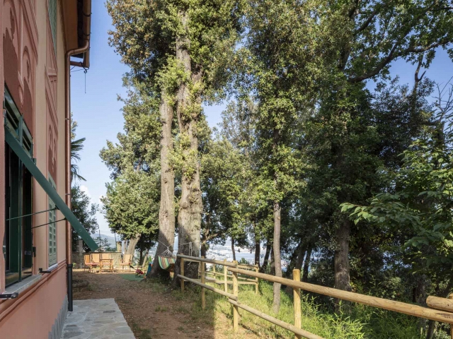 La_Brigna_B&B-bosco sul mare